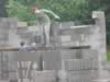 bau006.jpg (36kb)