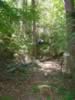 DSC01260.jpg (91kb)