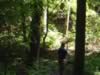 DSC01262.jpg (69kb)