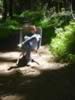 DSC01264.jpg (61kb)