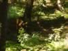 DSC01271.jpg (66kb)