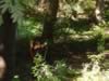 DSC01272.jpg (70kb)